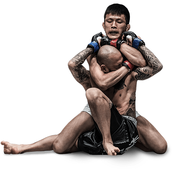 mixed martial arts fight transparent image